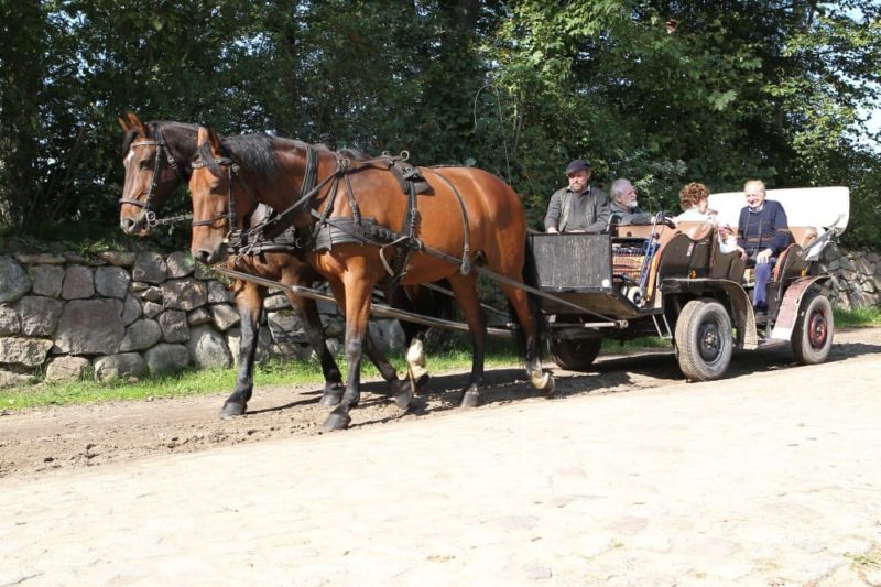 Kutschfahrten Lüneburger Heide