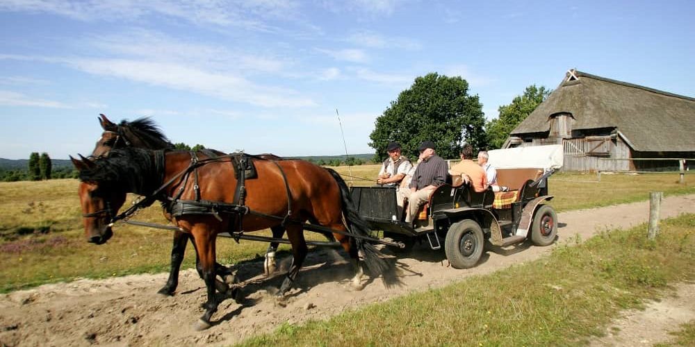 Kutschfahrten Lüneburger Heide