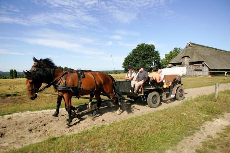 Kutschfahrten Lüneburger Heide