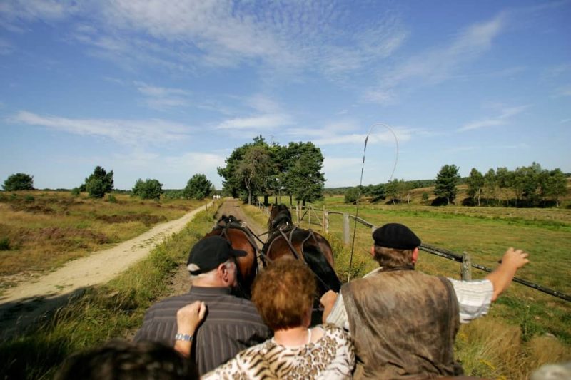 Kutschfahrten Lüneburger Heide