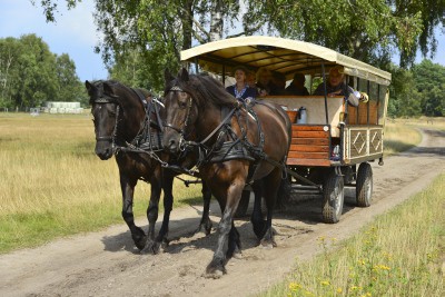 Planwagen Lüneburger Heide